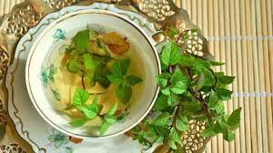 Weight Loss Tea : पेट की चर्बी घटाने में कारगर हैं ये पांच तरह की चाय
